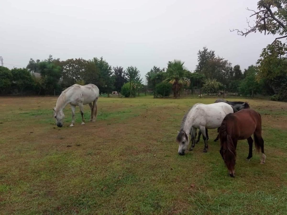 Casa De Sta Comba Villa Barcelos Kültér fotó