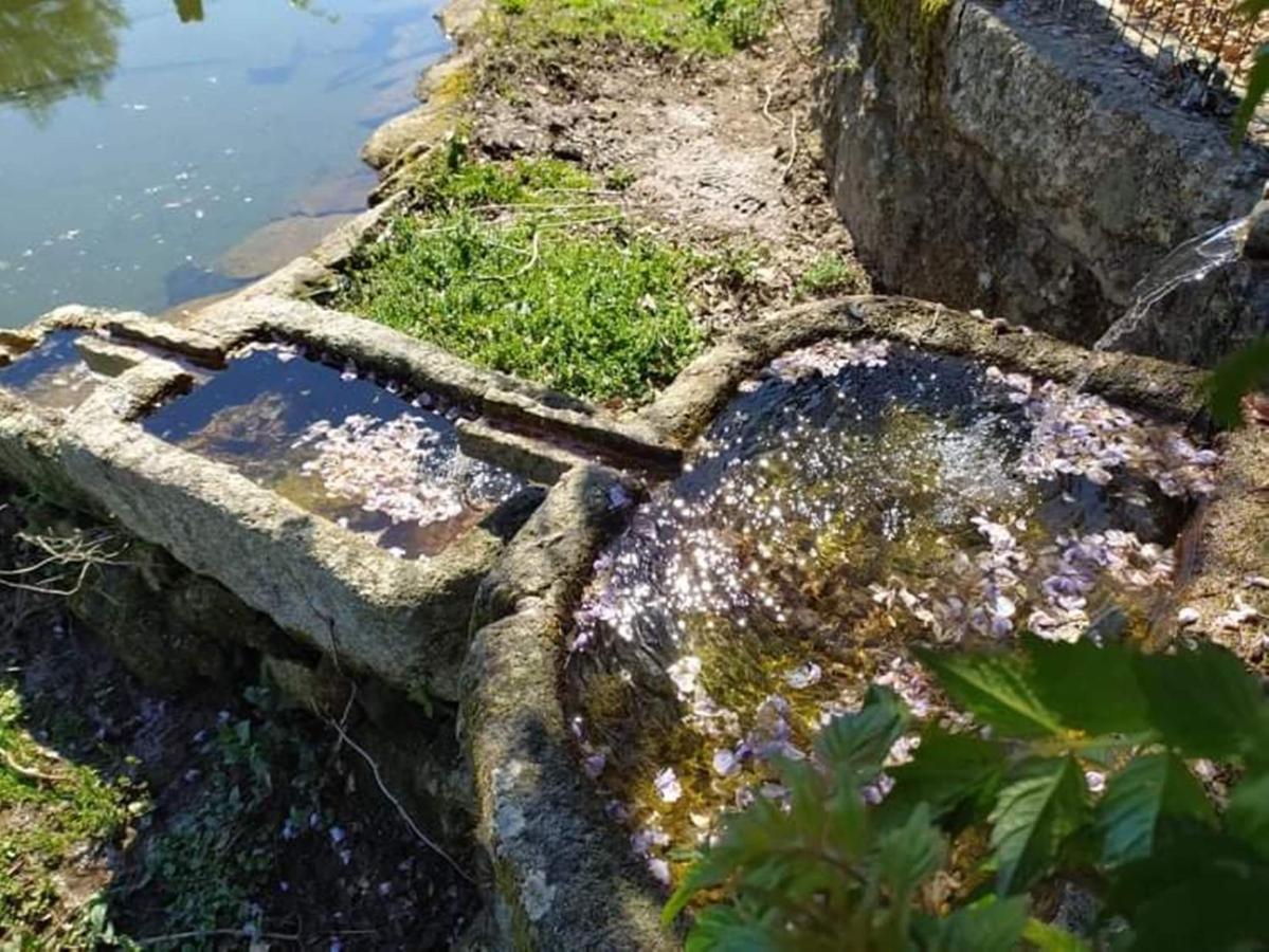 Casa De Sta Comba Villa Barcelos Kültér fotó
