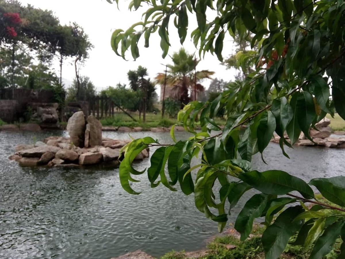 Casa De Sta Comba Villa Barcelos Kültér fotó